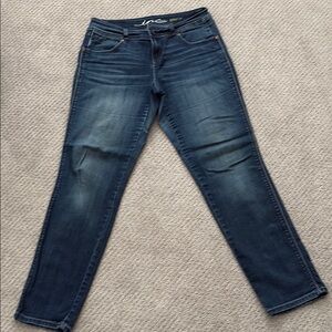 Inc Denim Blue Straight Leg Jeans Curvy Fit Everyday Wear
